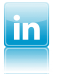 INlogoicon